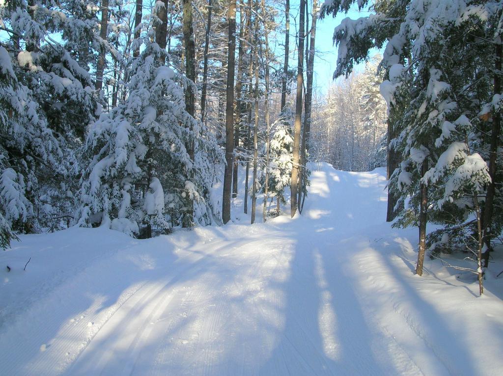 Wolfeboro Inn Экстерьер фото